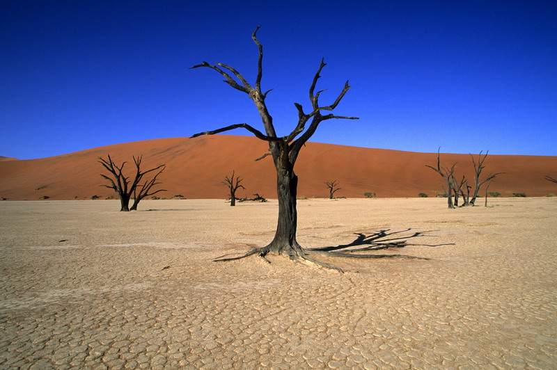 Namibia – afrykański sen o przygodach