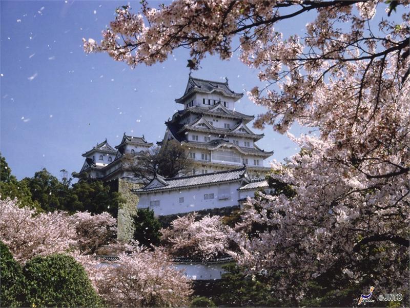 W Japonii, krainie kontrastów