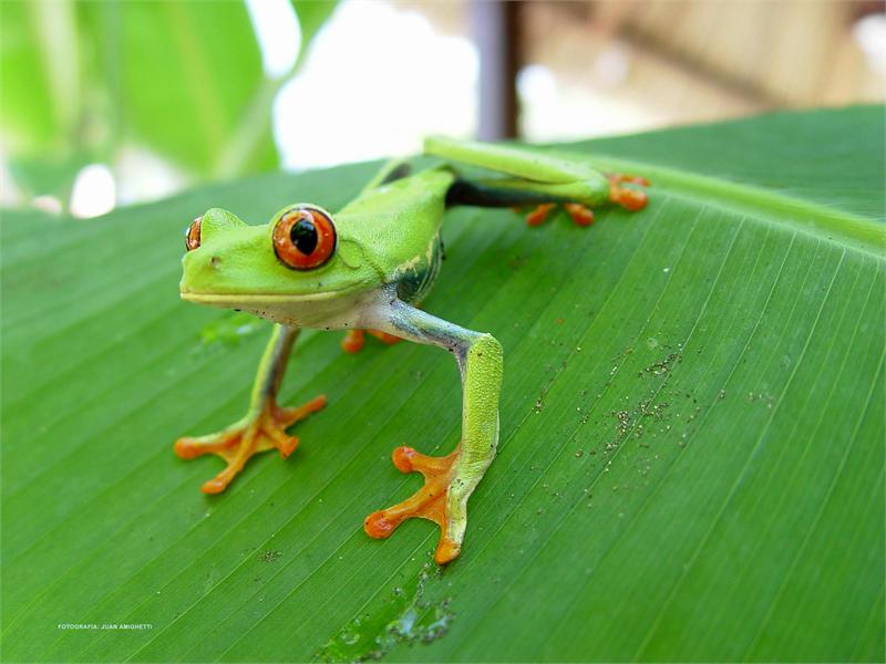 Costa Rica, czyli Bogate Wybrzeże