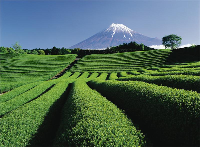 Japonia dla początkujących