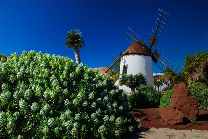 Fuerteventura – słońce i spokój