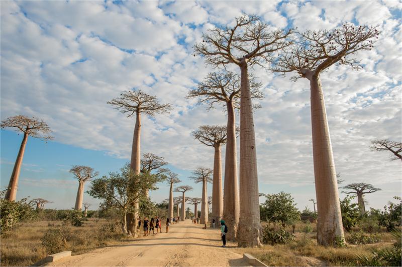 Egzotyczny Madagaskar czekający na odkrycie