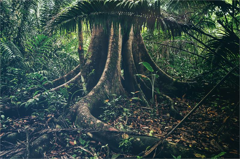 Panama – na styku dwóch oceanów i Ameryk