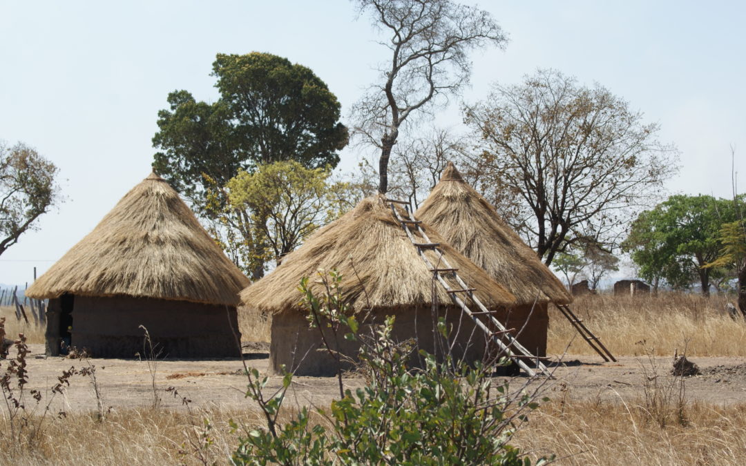 Spadek PKB o połowę? To cena zmian klimatu. Afryka jako pierwsza mierzy się z ich konsekwencjam