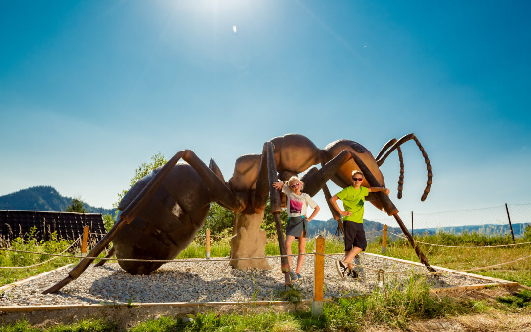 Zabierzemy Cię w góry – czerwcowy weekend w ośrodkach PKL