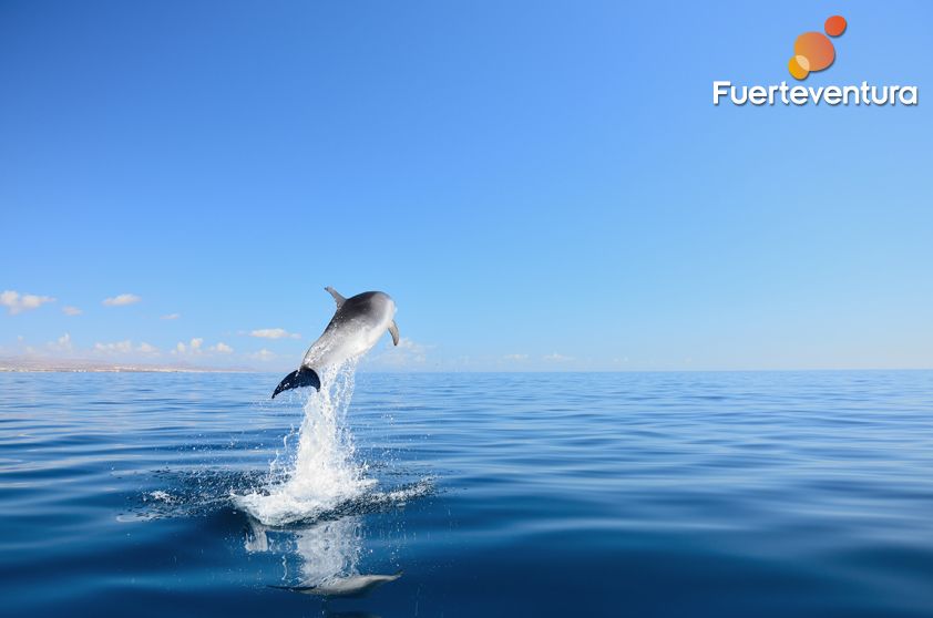 Fuerteventura otwiera się na rynek międzynarodowy