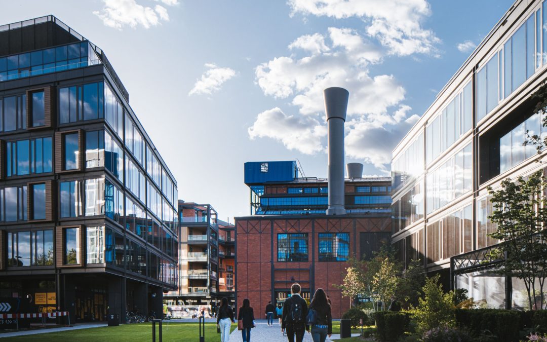 Teatr na Leżakach. kino letnie, Dzień Jogi – wydarzenia w Elektrowni Powiśle