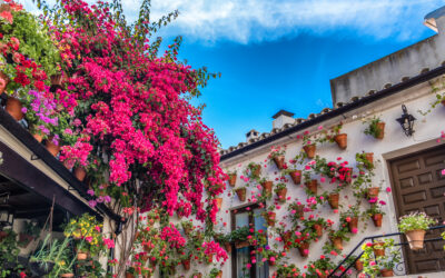 Andaluzyjskie opowieści