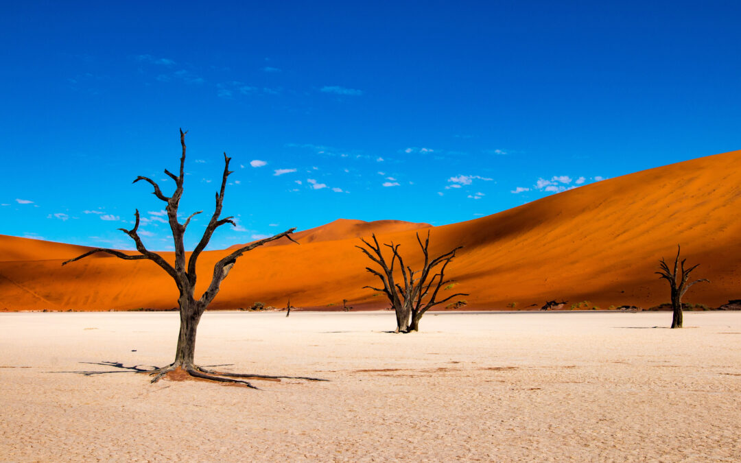 Kierunek Namibia – raj na pustyni