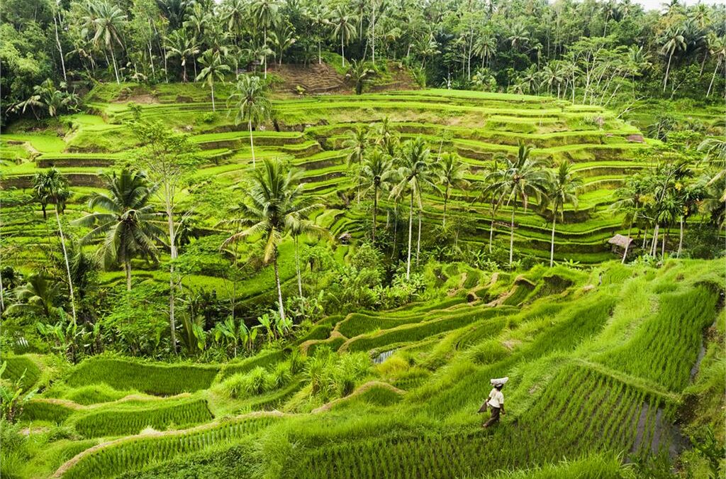 BALI VIBES, LOMBOK CALM: SPOTKANIE DWÓCH ŚWIATÓW