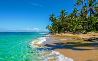 Zapraszamy serdecznie na śniadanie biznesowe z magazynem ALL INCLUSIVE i biurem BEST OF COSTA RICA DMC, specjalizującym się w Kostaryce, Panamie i Nikaragui, w Krakowie w dn. 31.10.2024 r. o godz. 10.00.
