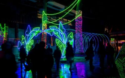Park Miliona Świateł „Magiczne Zwierzęta” już otwarty w Łodzi