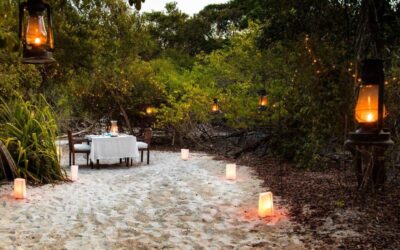 &Beyond’s Private Island Paradise Reopens With A Fresh New Look