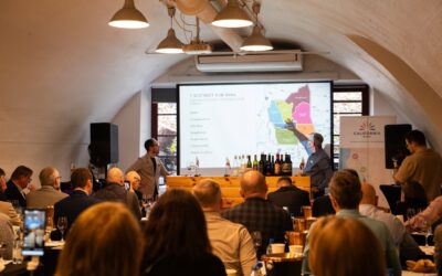 Lodi Wine Adventure – podsumowanie