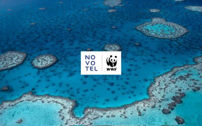 Novotel świętuje rok współpracy z WWF i zaangażowania na rzecz ochrony oceanów