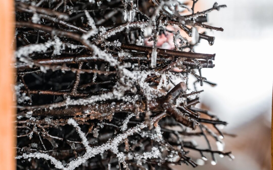 Tajniki tężni solankowych i 5 powodów, by z nich korzystać