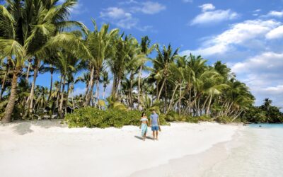 Waldorf Astoria Seychelles Platte Island Invites Guests to Celebrate Global Wellness Day 2025 with Reconnect-Inspired Island Experiences