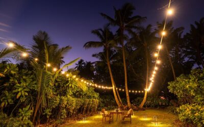 Stargazing at Waldorf Astoria Seychelles Platte Island