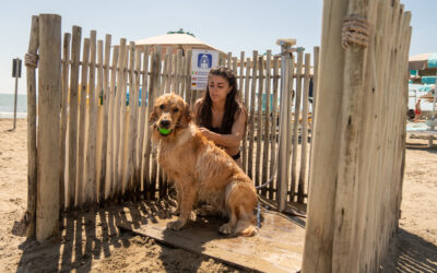 On Holiday with Your Four-Legged Friend: Friuli Venezia Giulia is Pet-Friendly All Year Round