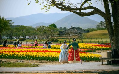 Korea Południowa – korzystny przewodnik dla podróżujących z Polski