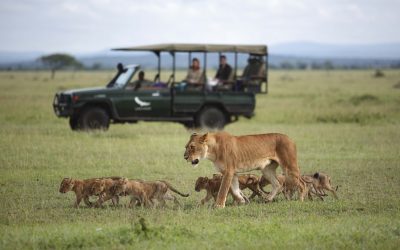 Wildlife Nurseries: Where to Spot Baby Animals this Spring in East Africa