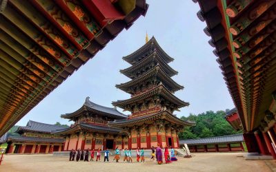 Polacy odkrywają Koreę Południową na nowo – rekordowy wzrost w Q1 2026