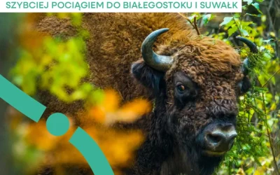 Kierunek Podlasie: szybciej pociągiem do Białegostoku i Suwałk. wiosenna oferta PKP Intercity