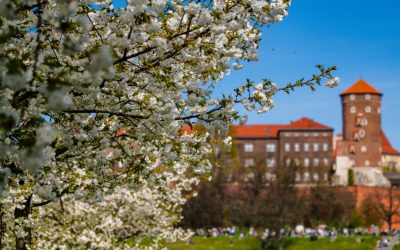 Krótka majówka, wielki najazd turystów? Kraków szykuje się na gości z Polski i zagranicy