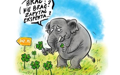 Adherencja – małe decyzje, które naprawdę zmieniają zdrowie