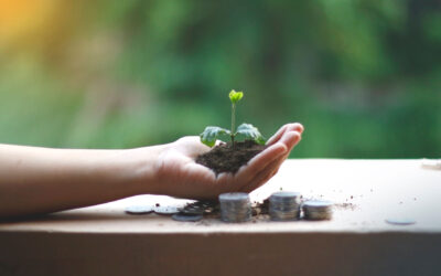 Growth in tourism (and beyond): Between economic success and environmental responsibility