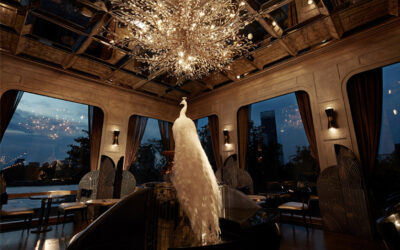 CELEBRATING A SEASON OF CULINARY DISCOVERY