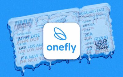 Travelers beware: thousands of customer IDs and full payment details leaked