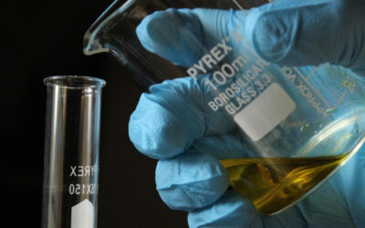 Used cooking oil: Waste or raw material? From kitchen scraps to a resource
