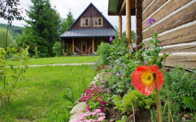 Deadzone travel, czyli podróż tam gdzie nie ma zasięgu