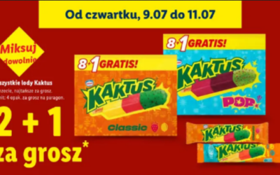 Odkryj lodowe hity w Lidl Polska od czwartku 9 lipca!