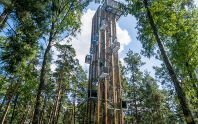 Dzintari Forest Park Viewing Tower