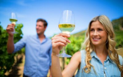 Grape Harvest Experiences in the Vineyards of Friuli Venezia Giulia’s Finest Wines