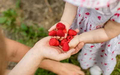 Dlaczego dzieci lubią maliny? Poznaj oficjalny owoc najważniejszego psychodietetycznego wydarzenia w Polsce